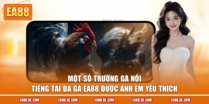 Một số trường gà nổi tiếng tại đá gà EA88 được anh em yêu thích