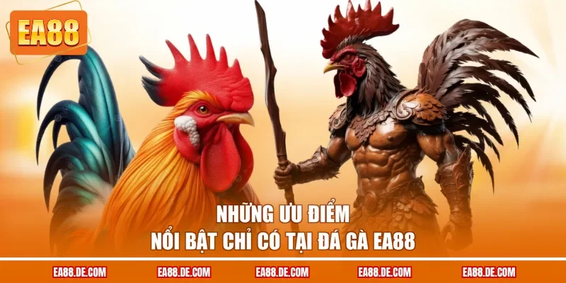 Những ưu điểm nổi bật chỉ có tại đá gà EA88